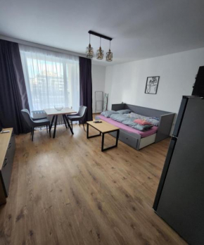 Alissa Student City apart 4 & private parking